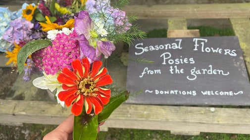 Posies at Arlington Court